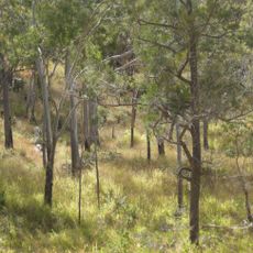 Mount Archer National Park