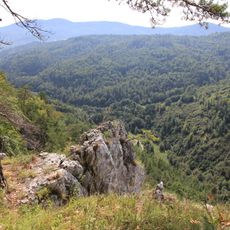 Punto di vista panoramico