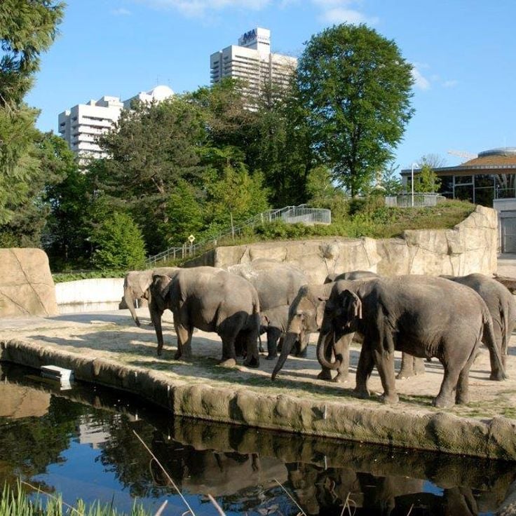 Cologne Zoo