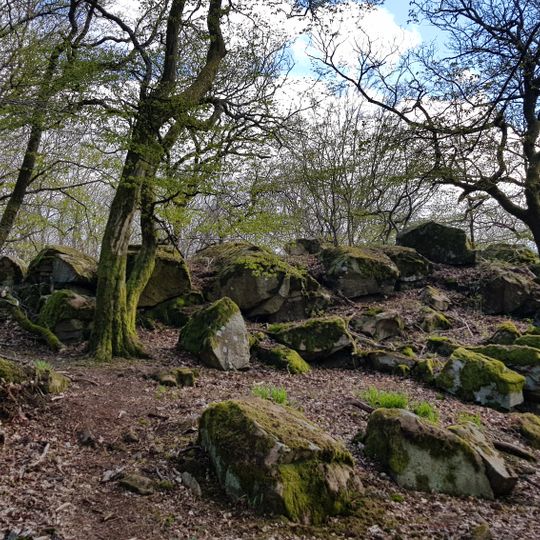 Ringwallburg Heunstein