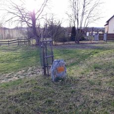 Památník lípy republiky v Tlucné