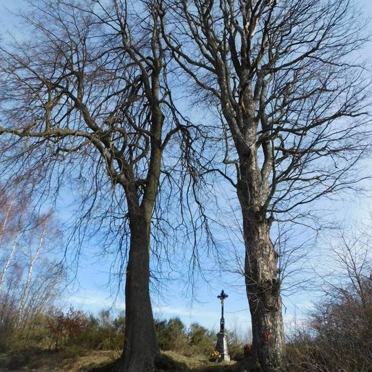 Kříž naproti domu čp. 65 v Šimanově
