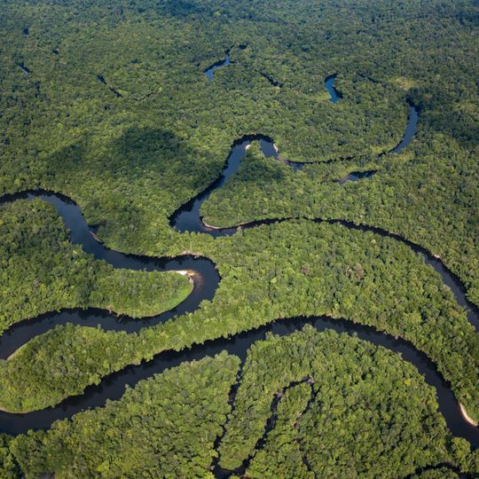 Southern Cardamom National Park