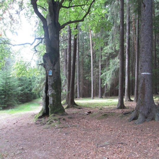 Obrázek Panny Marie na rozcestí nad Novým Mnichem