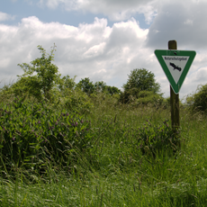 Naturschutzgebiet Heidberg bei Sickendorf