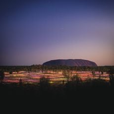 Field of Lights