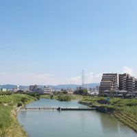 Onojo