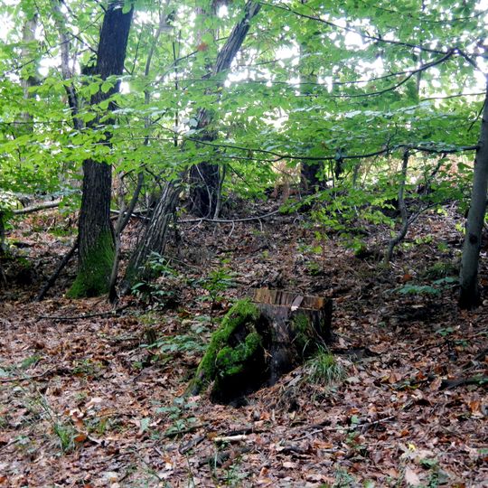 Hügelgräbergruppe Aichberg in Eibiswald