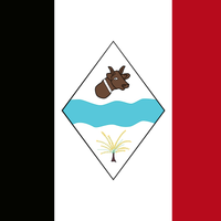 São Raimundo das Mangabeiras