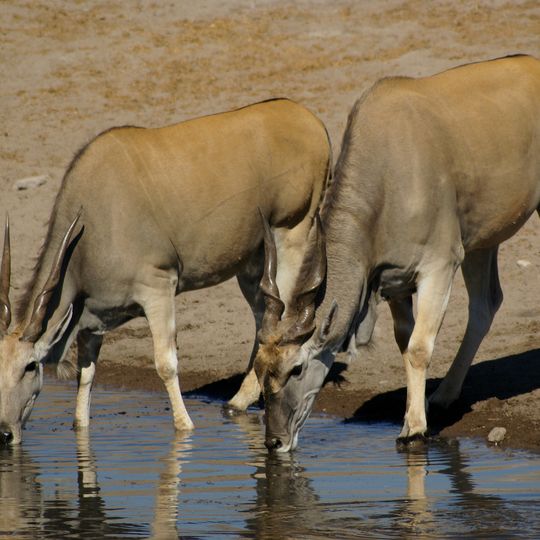 Tussen-die-Riviere Nature Reserve