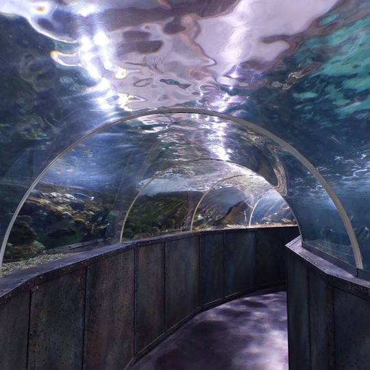 Grand Aquarium de Touraine