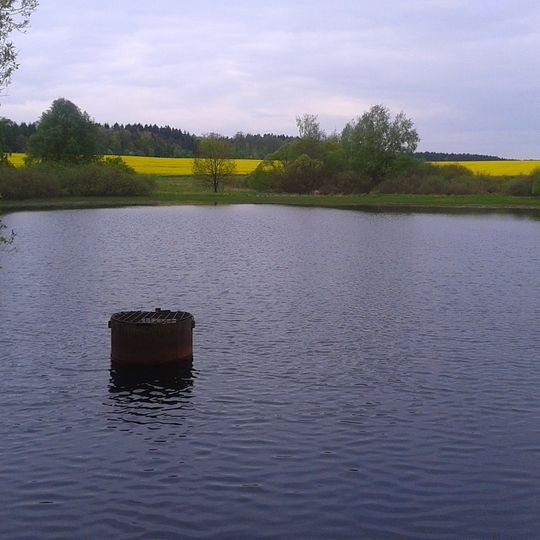 Fauler Pfützenteich