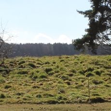 Thetford Forest