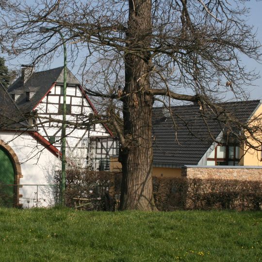 Bauschhof