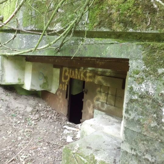 Kazemat R011-P Duitse Pantherstellung voorbij Leusbroekerweg