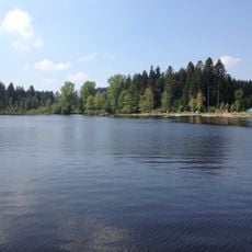 Waldsee