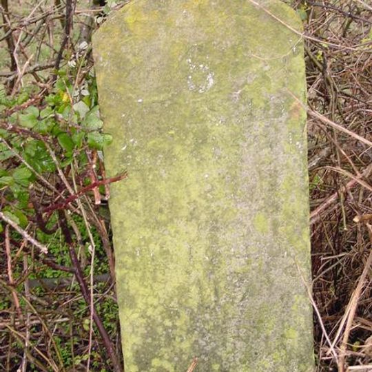 Milestone, On A48 About 67 Metres East Of Lane To Wintiles Hill House