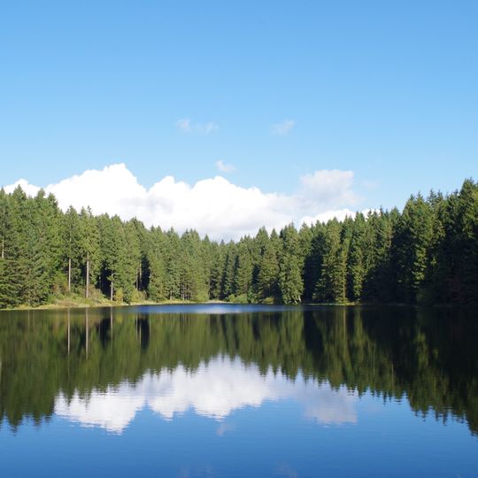 Neuer Grumbacher Teich