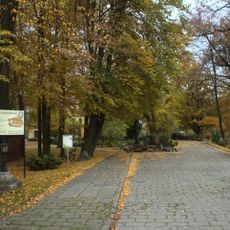 Palace park in Wojnowice