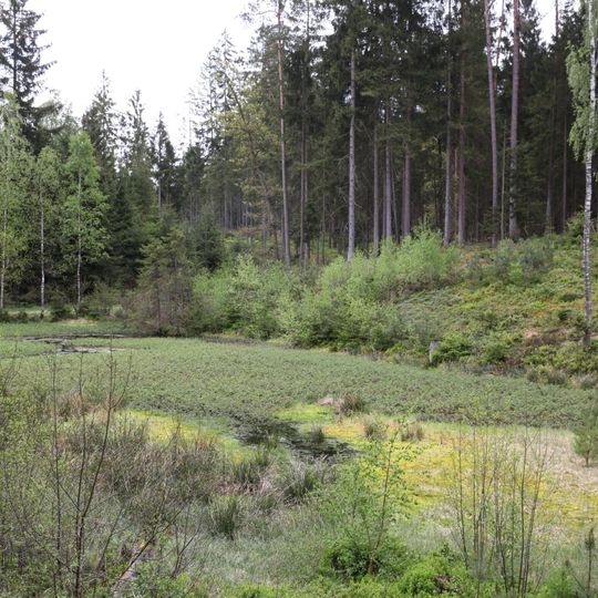 Feuchtgebiete um Rottenbach