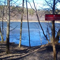 Rezerwat przyrody Jezioro Czarne (województwo wielkopolskie)