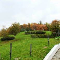 Collina dei Ciliegi