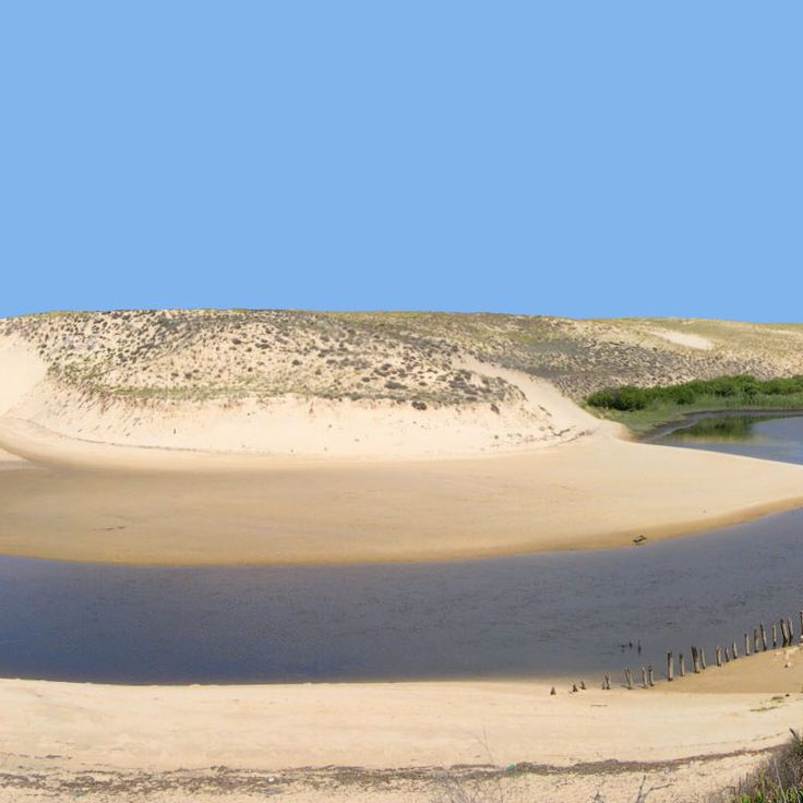 Courant d'Huchet Nature Reserve