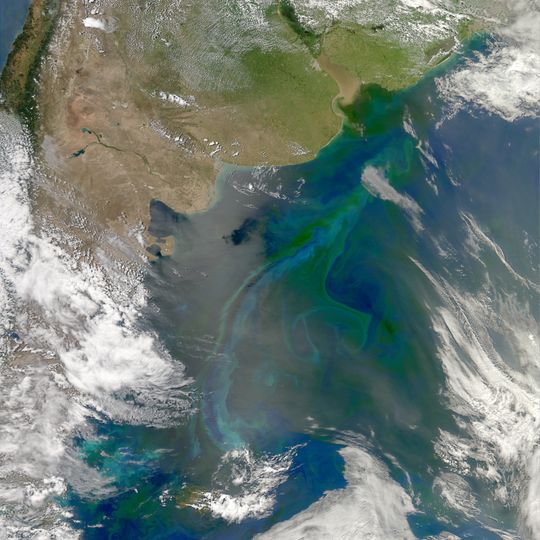 Argentine Sea