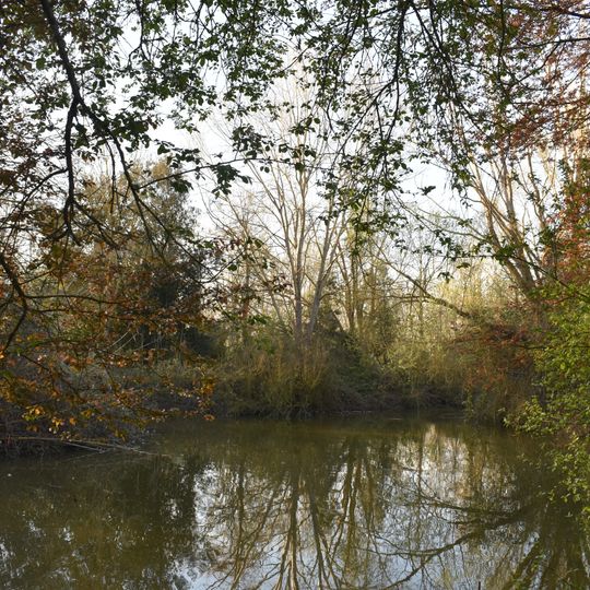Garzaia dello zuccherificio di Codigoro e Po di Volano