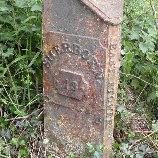 Milepost, Pennymoor Pitt Farm; 60m E of Farm