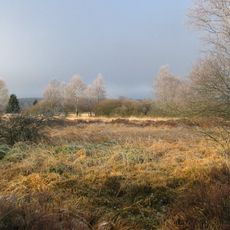 Parc naturel des Hautes-Fagnes–Eifel