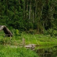 Manu National Park
