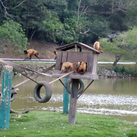 Parque da Cidade José Rollemberg Leite