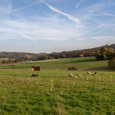 Krausebachtal bei Großaltenstädten