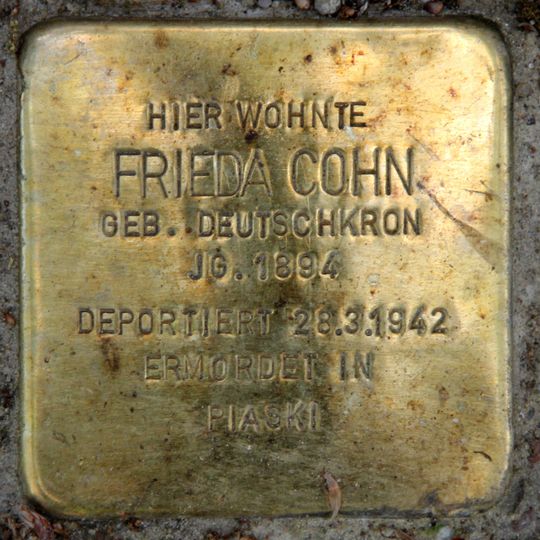 Stolperstein dedicated to Frieda Cohn