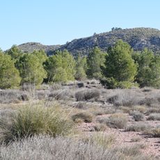 Microrreserva de flora Miramontes