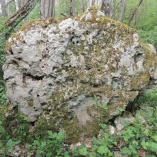 Menhir de la Roche à Blin