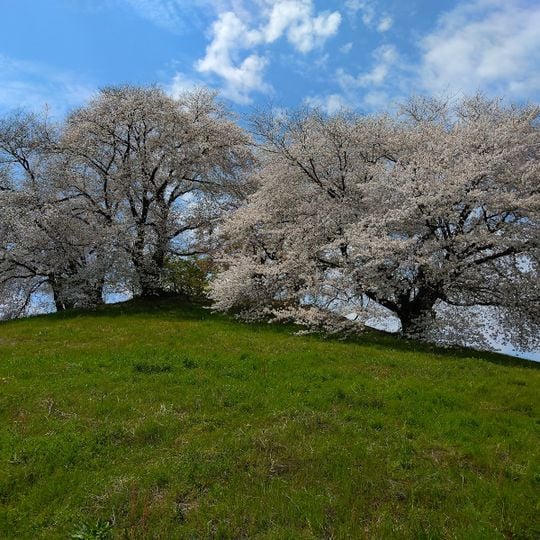 Shiroishi Inariyama Kofun