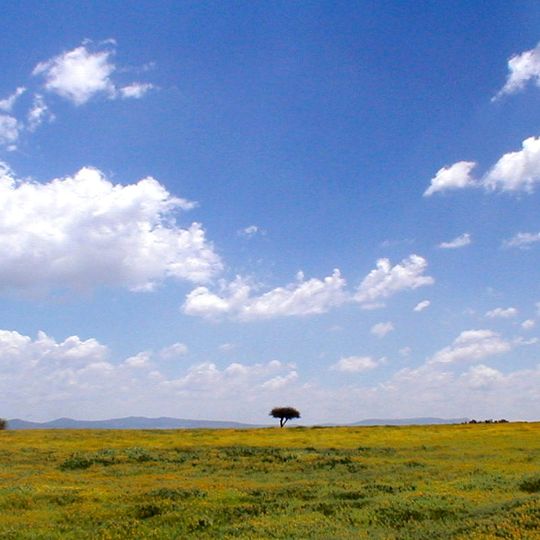 Mexican Plateau