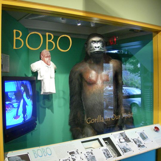 Bobo