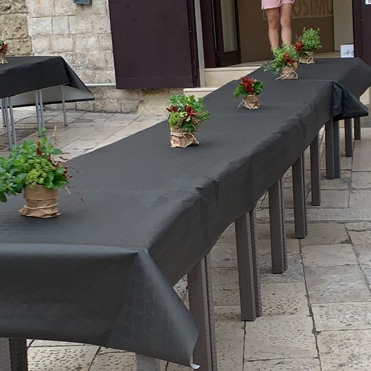 Pizzeria Di Cosimo