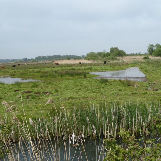 Carlton and Oulton Marshes