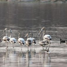 Ameenpur Lake