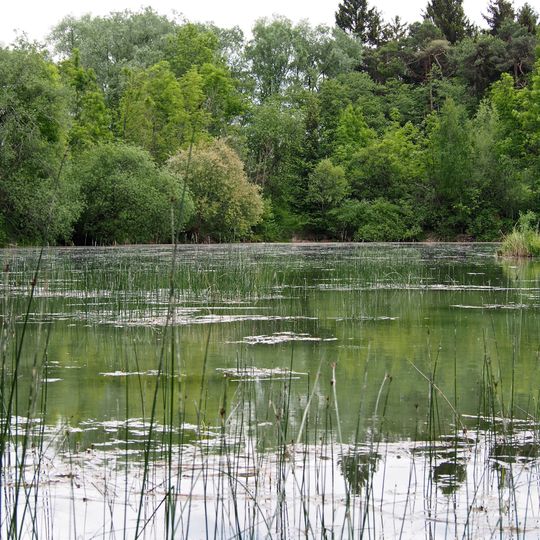LSG Wertachauen zwischen Inningen und Göggingen