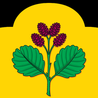 奥利尚卡农村居民点