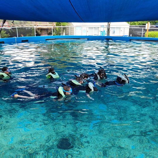 St. Augustine Aquarium