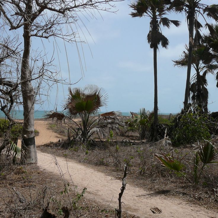 River Gambia National Park