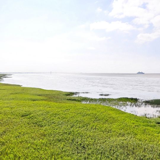 Niedersächsischer Mündungstrichter der Elbe