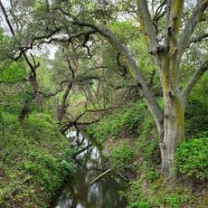 Tassajara Creek Regional Park