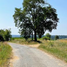 Wayside cross in Stádlec, Czechia